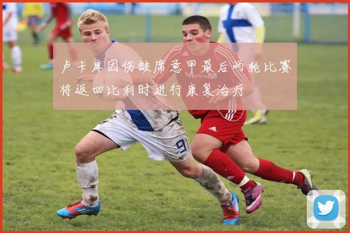 卢卡库因伤缺席意甲最后两轮比赛将返回比利时进行康复治疗